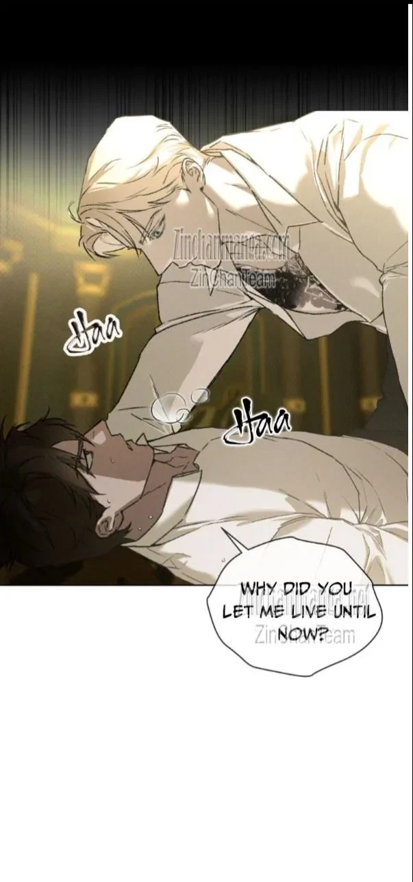 Chapter 41, page 5