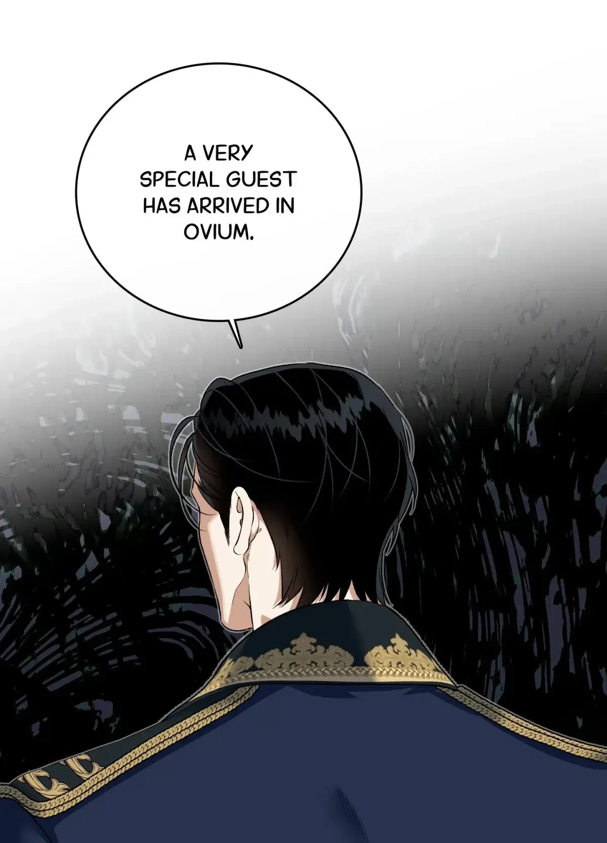 Chapter 8, page 11