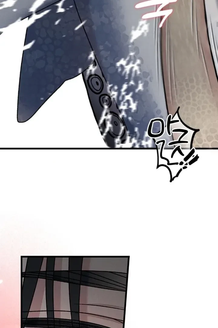 Chapter 2, page 71