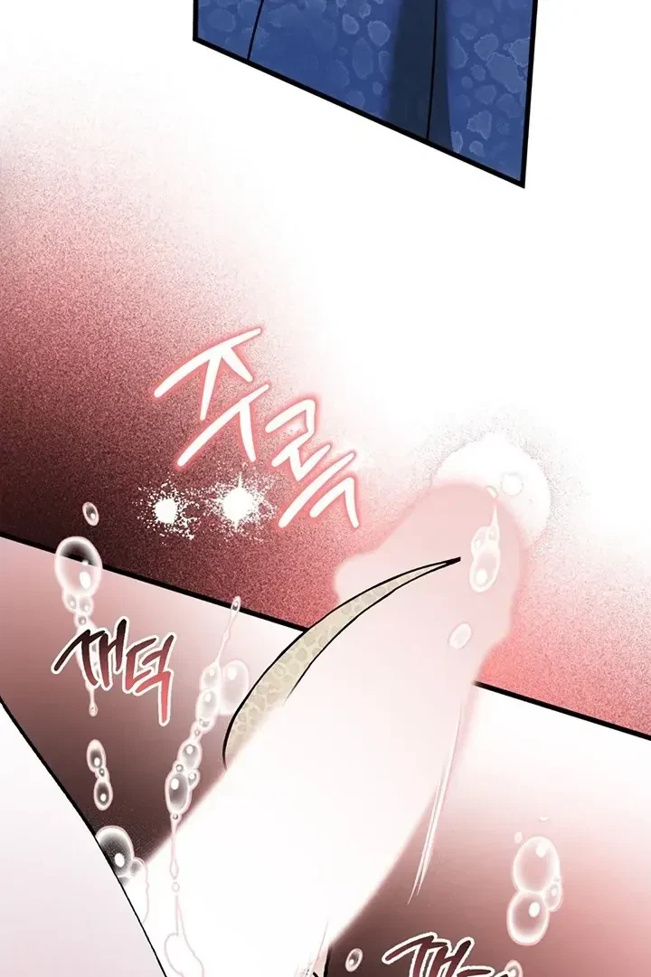 Chapter 2, page 74