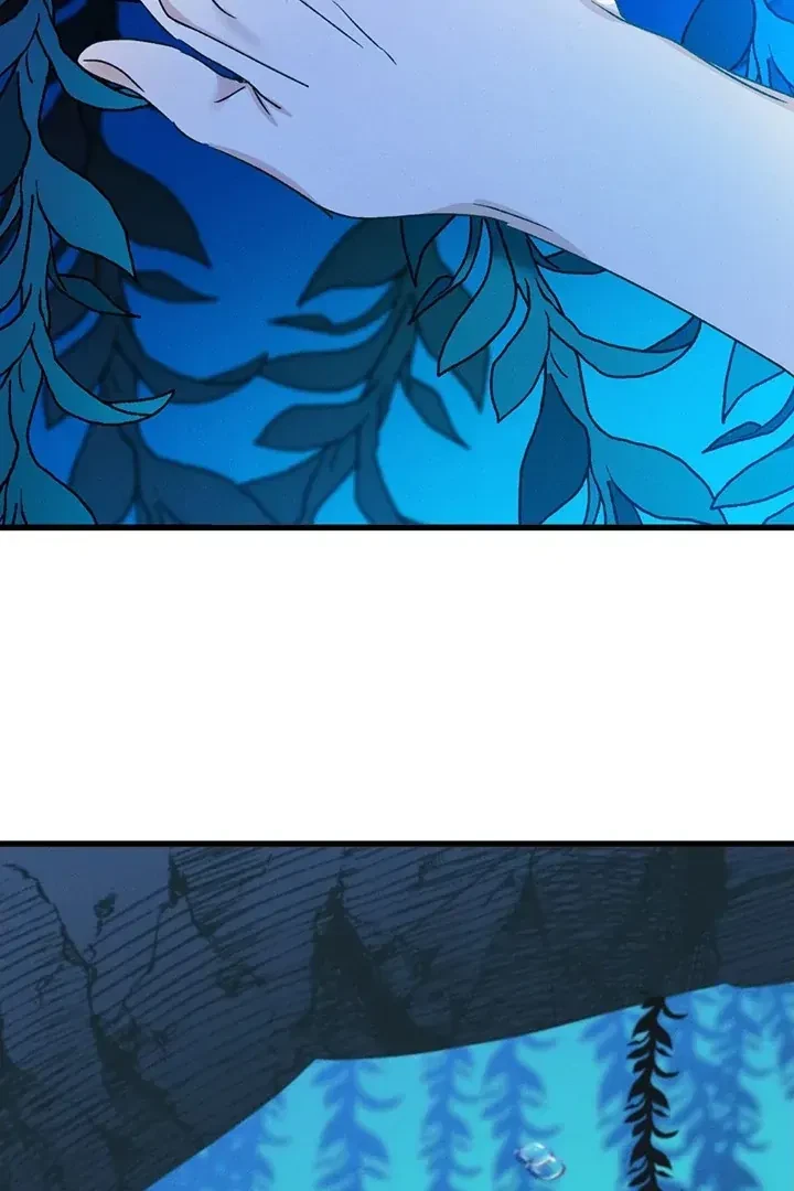 Chapter 2, page 97
