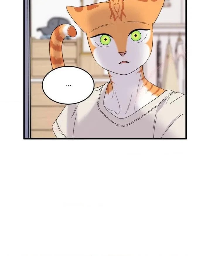 Chapter 103, page 40