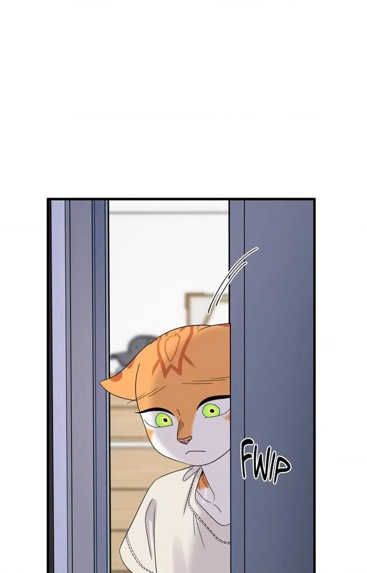 Chapter 103, page 41