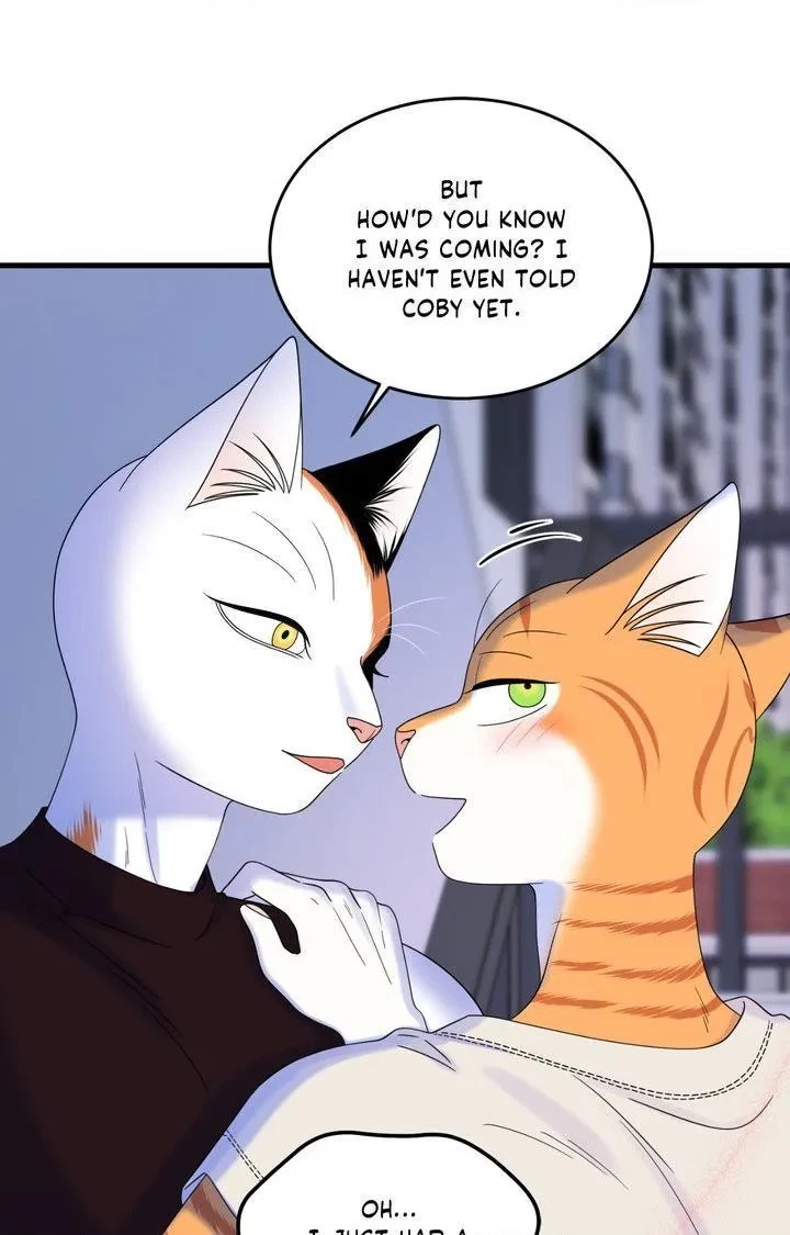 Chapter 103, page 51