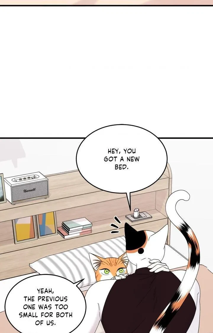 Chapter 103, page 59