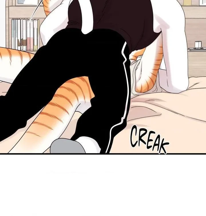 Chapter 103, page 61
