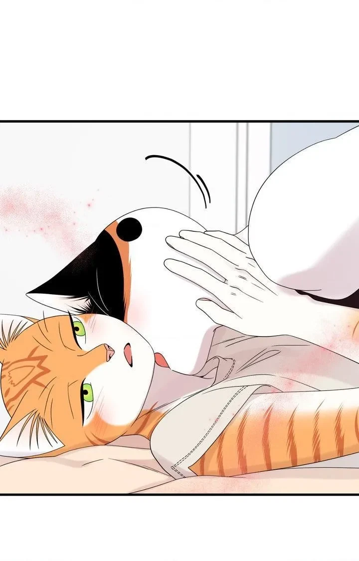 Chapter 103, page 62