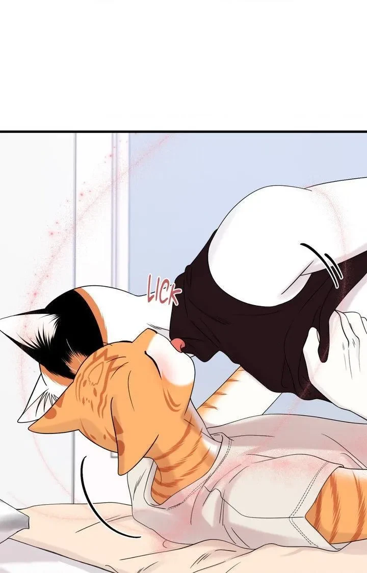 Chapter 103, page 63