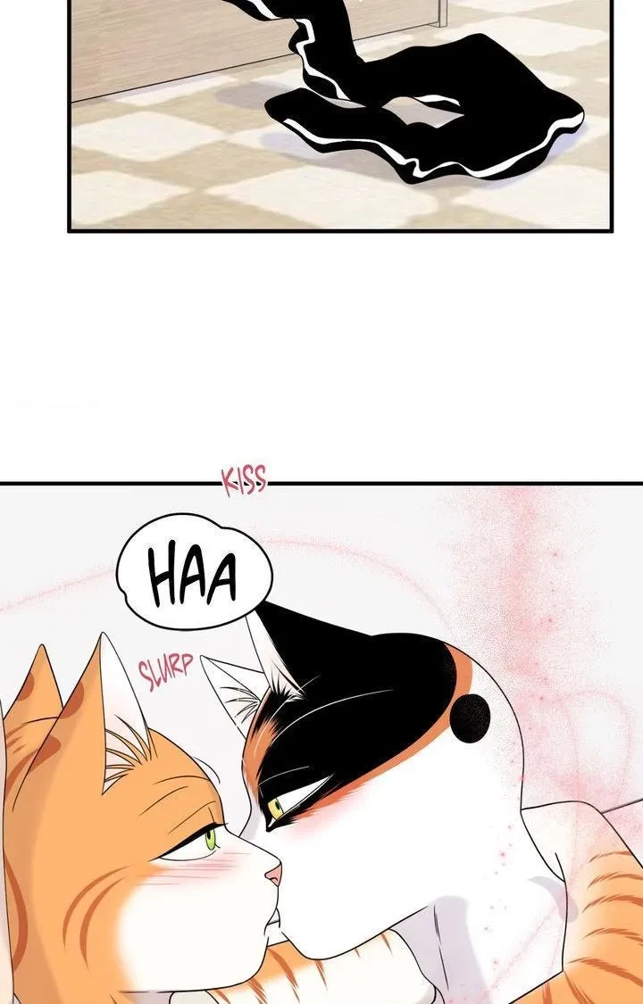 Chapter 103, page 70