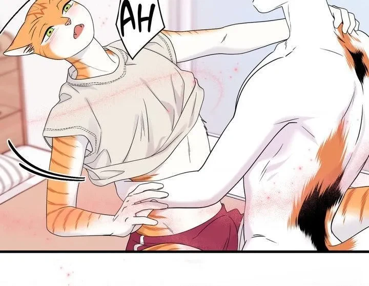 Chapter 103, page 78