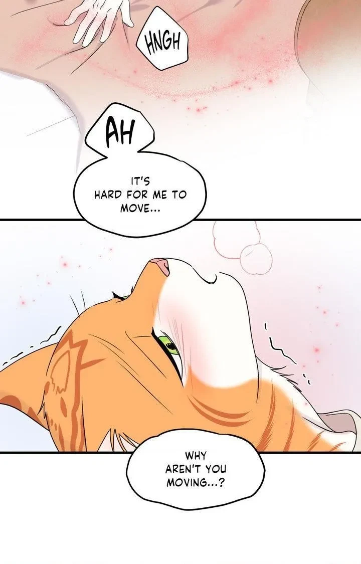 Chapter 103, page 80