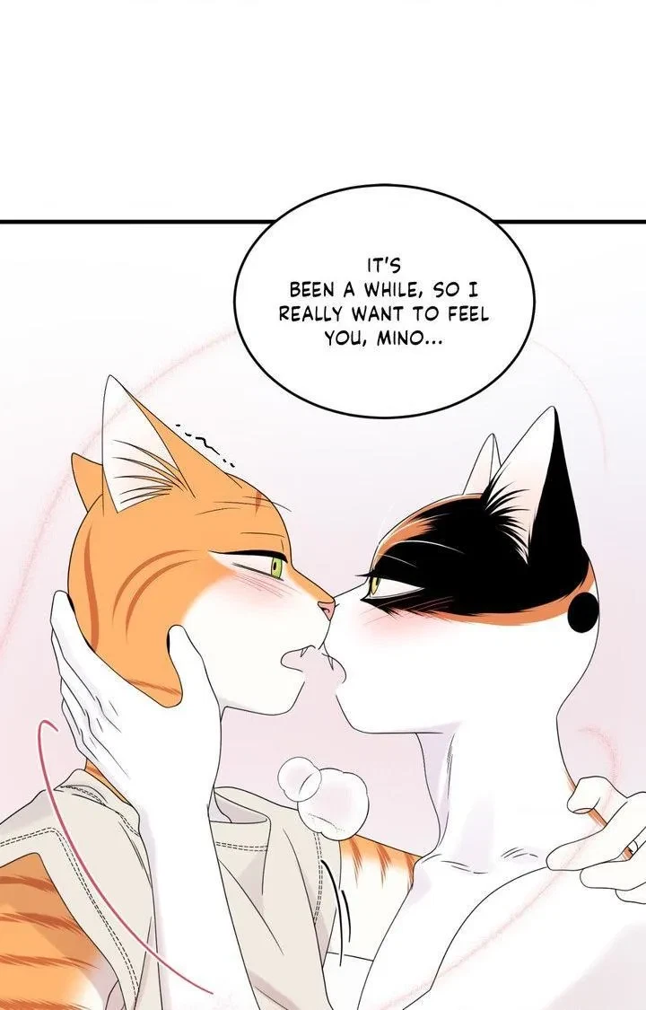 Chapter 103, page 81