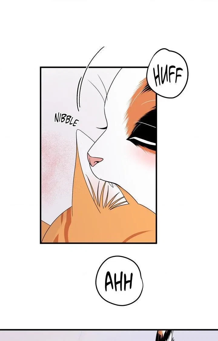 Chapter 103, page 89