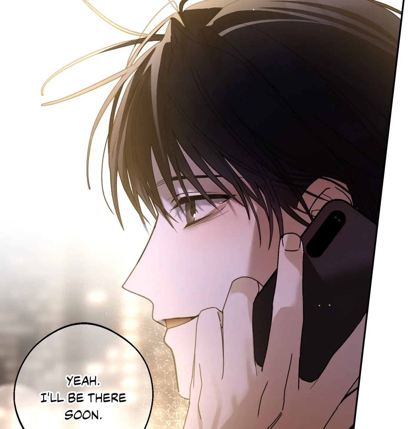Chapter 2, page 96