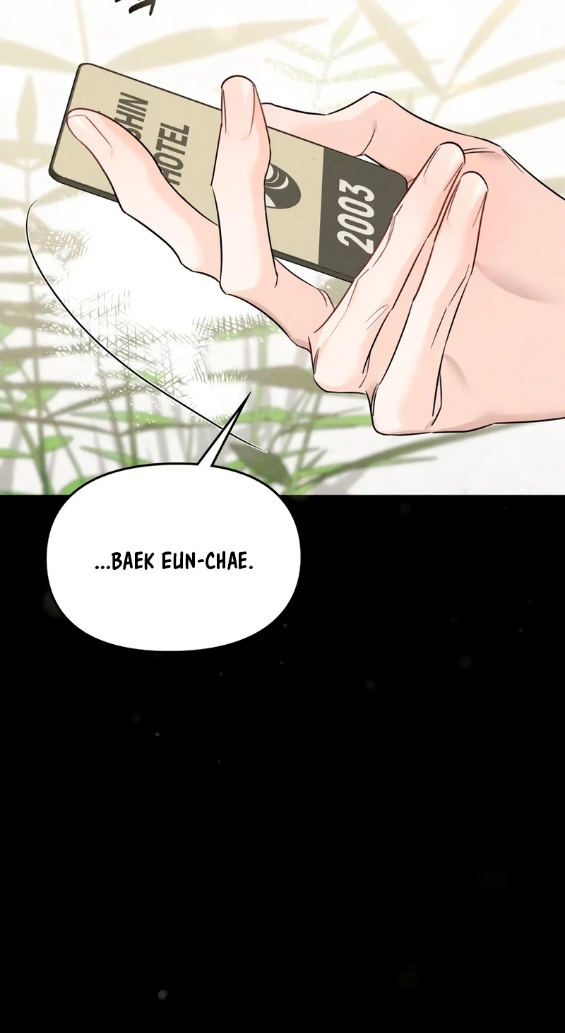 Chapter 19, page 91