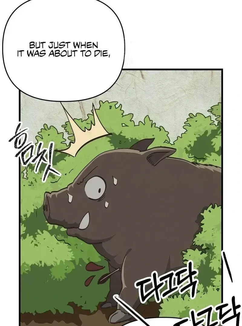 Chapter 3.3, page 39