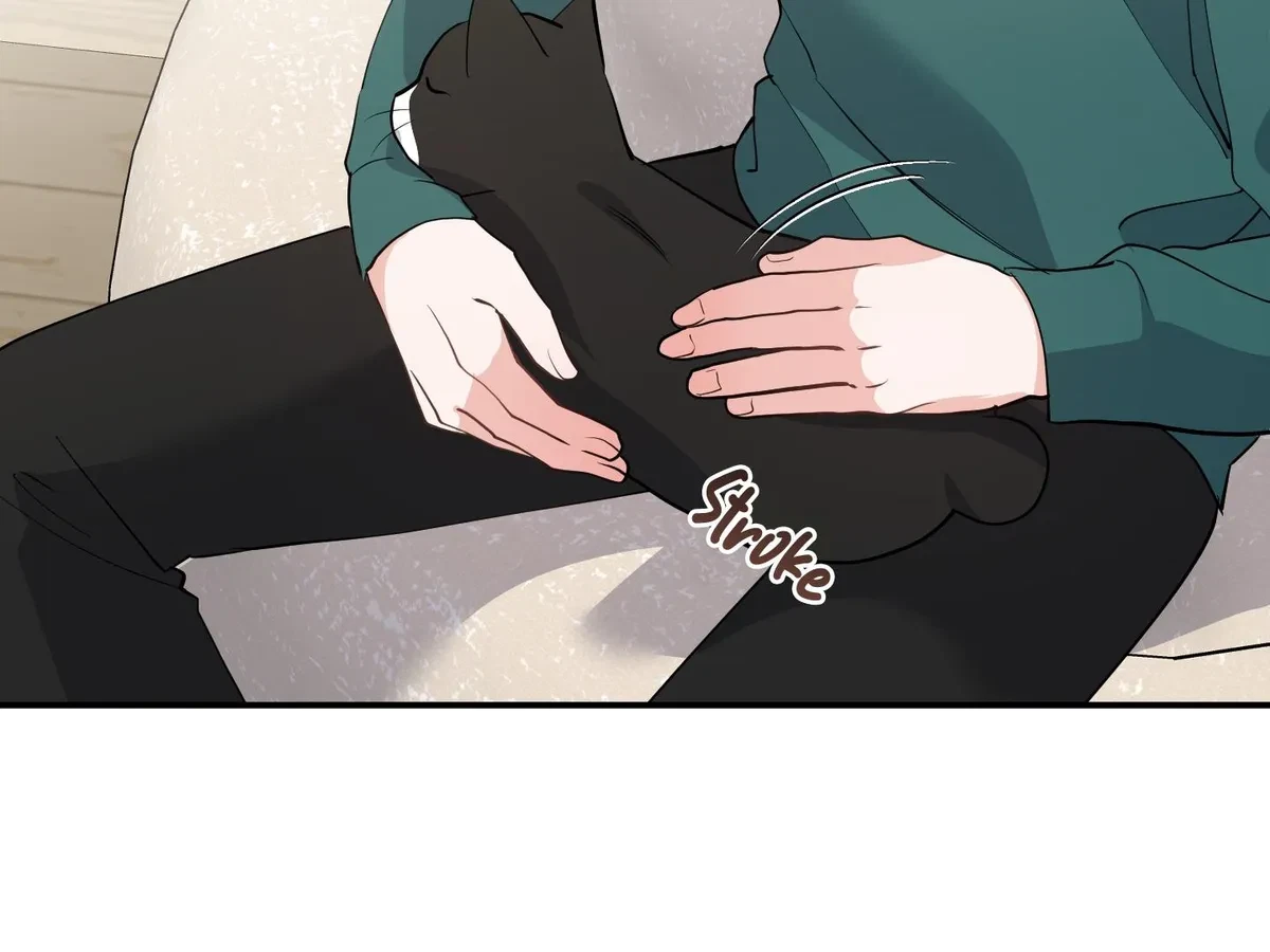 Chapter 5, page 20