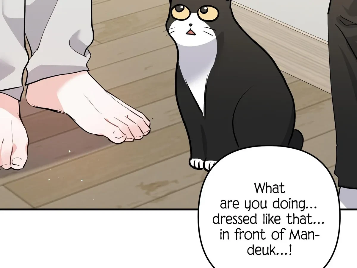Chapter 5, page 58