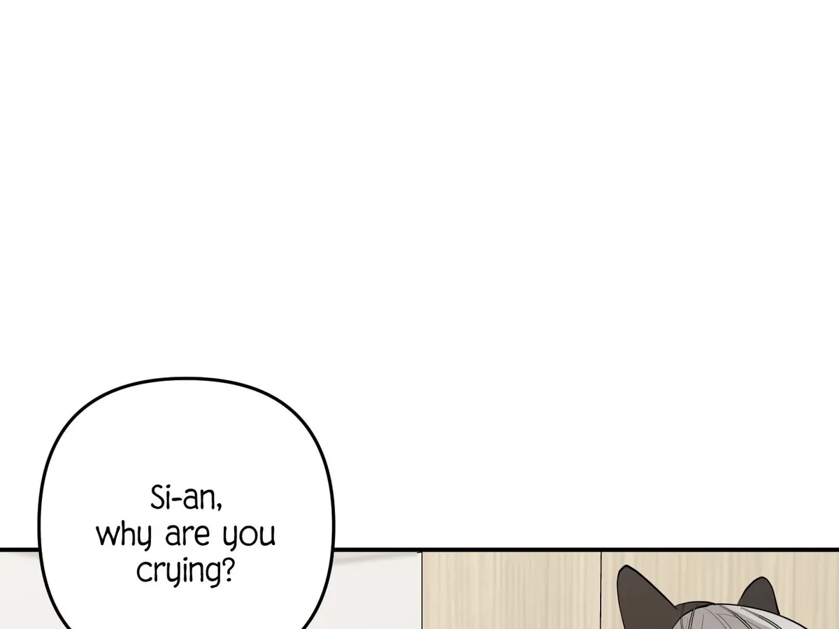 Chapter 5, page 93