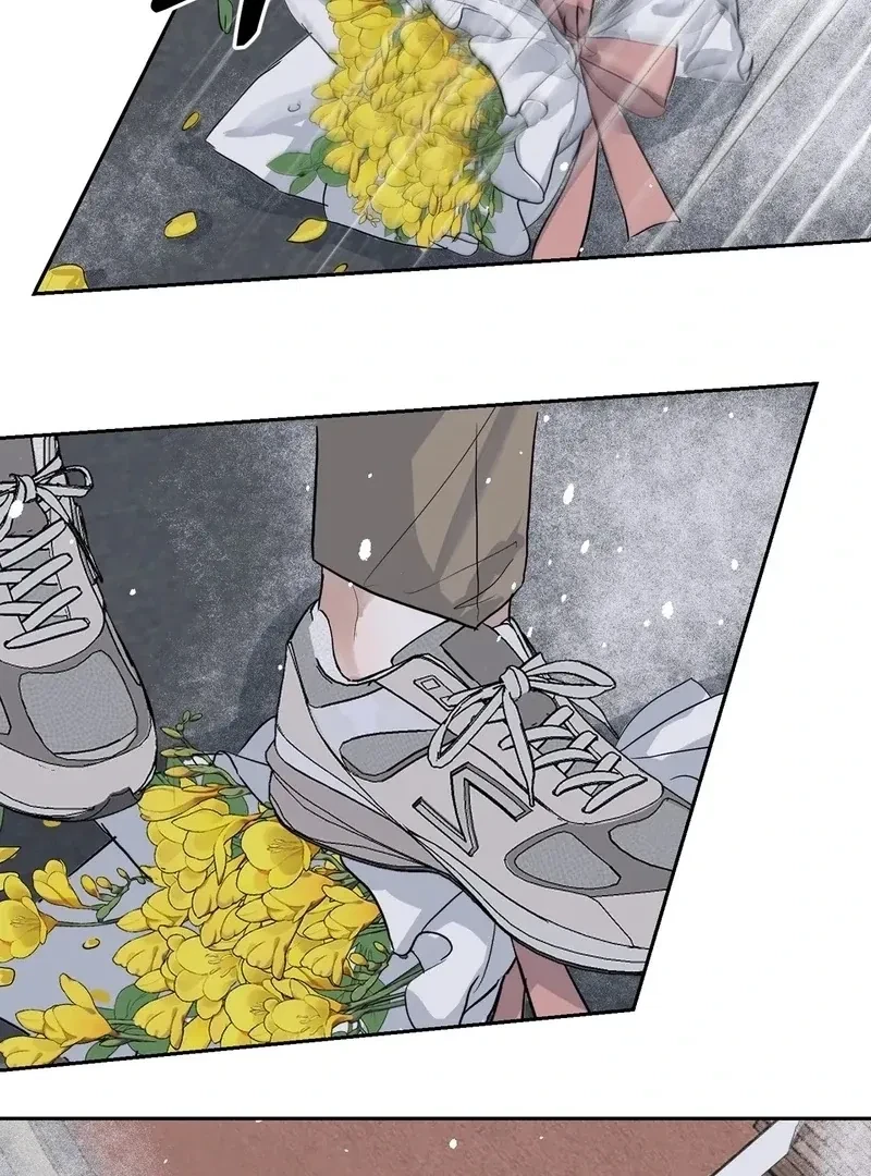 Chapter 2, page 8