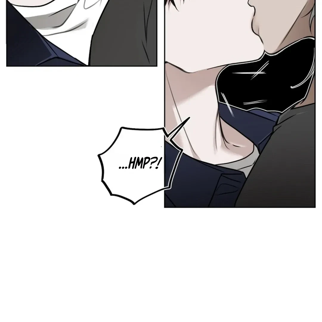 Chapter 3, page 102
