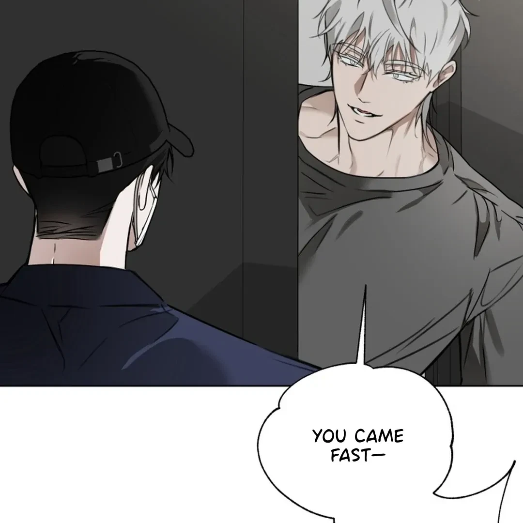 Chapter 3, page 81