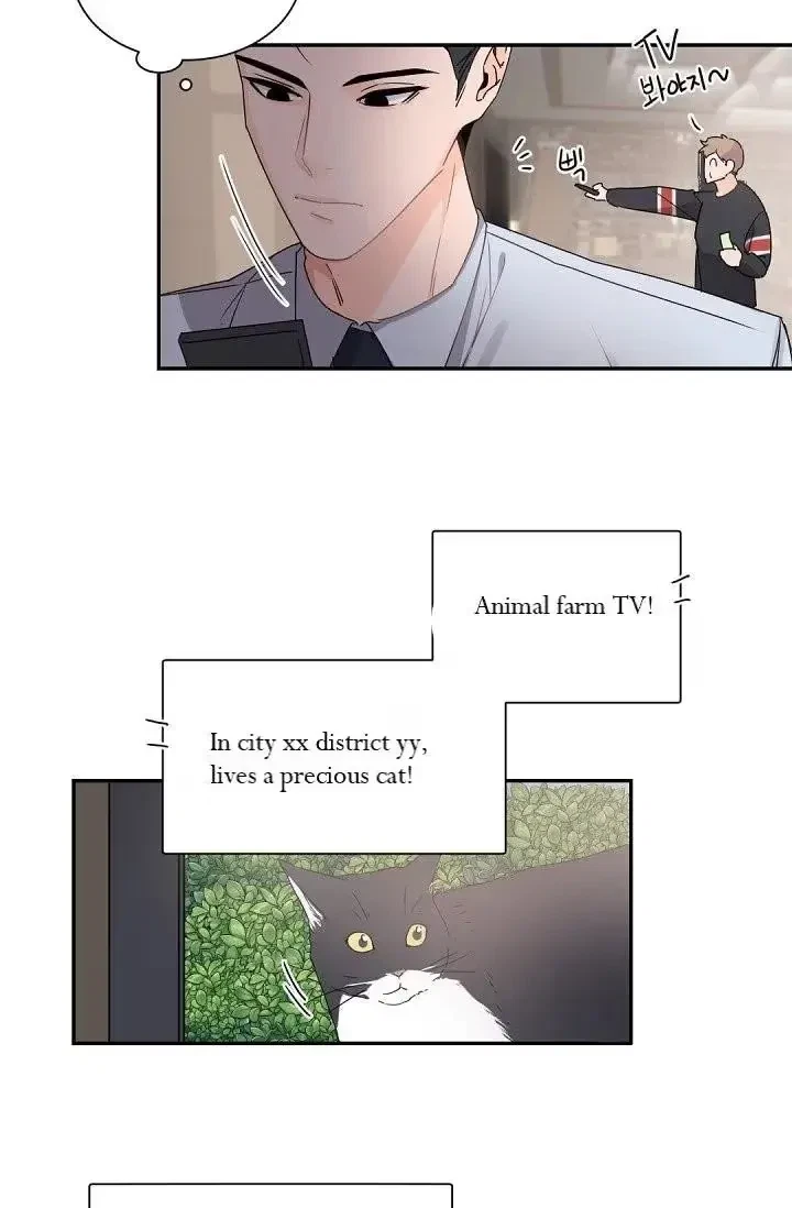 Chapter 29, page 48