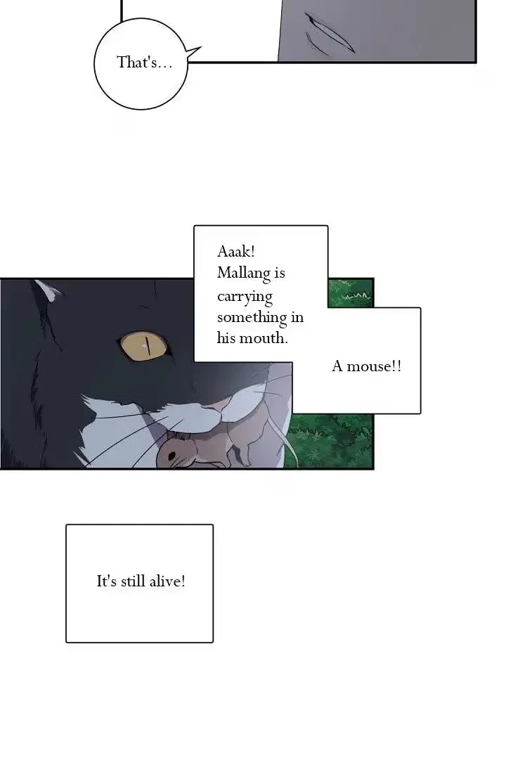 Chapter 29, page 53