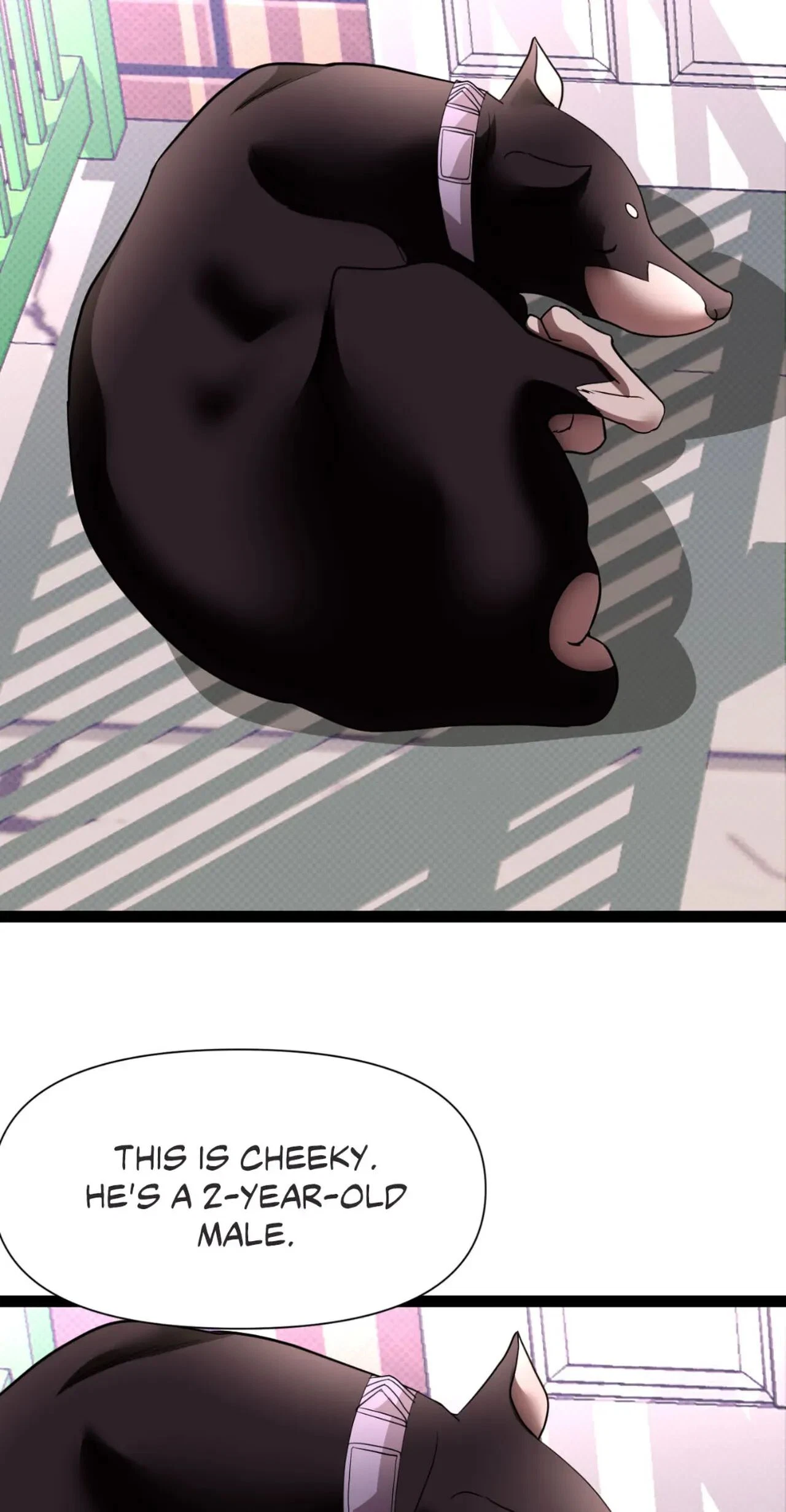 Chapter 11, page 13