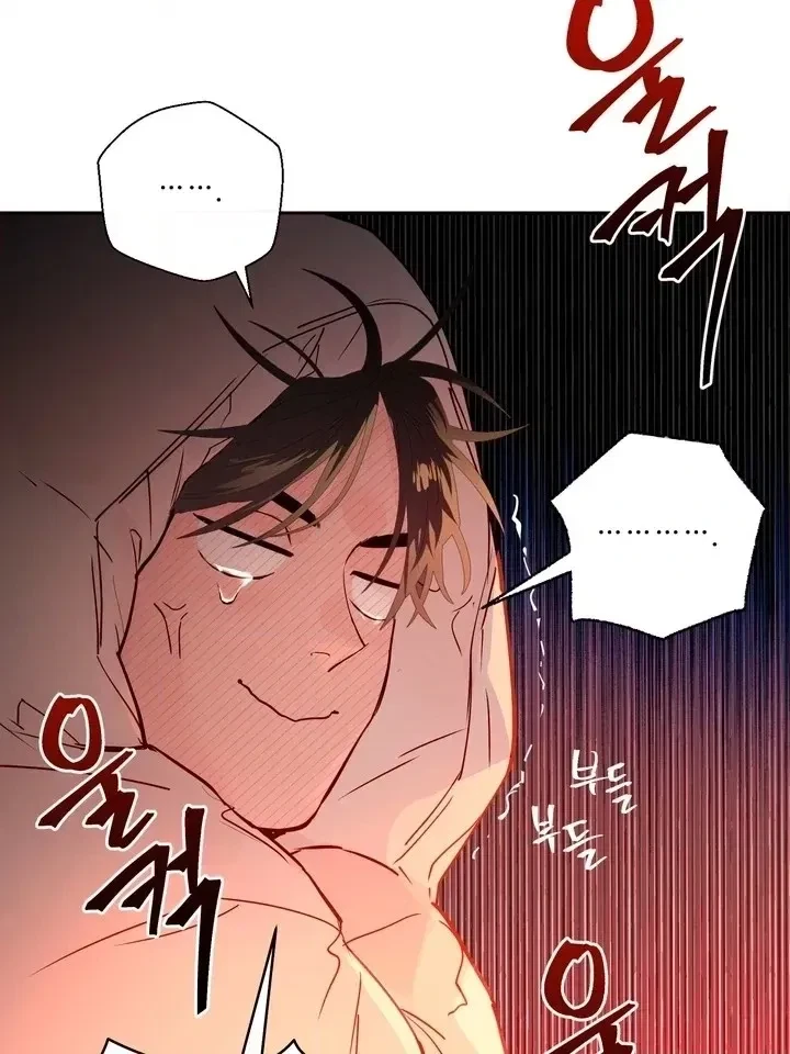 Chapter 2, page 100