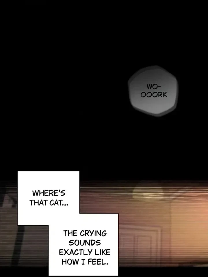 Chapter 2, page 60