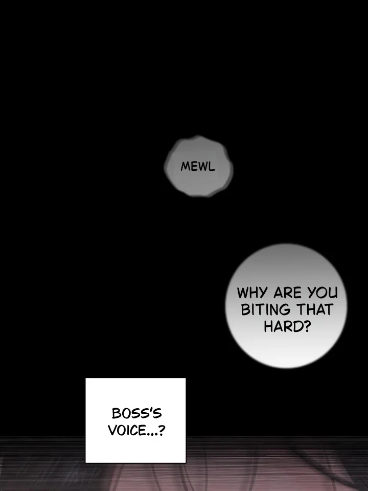 Chapter 2, page 61
