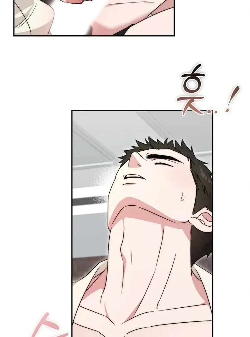 Chapter 3, page 67