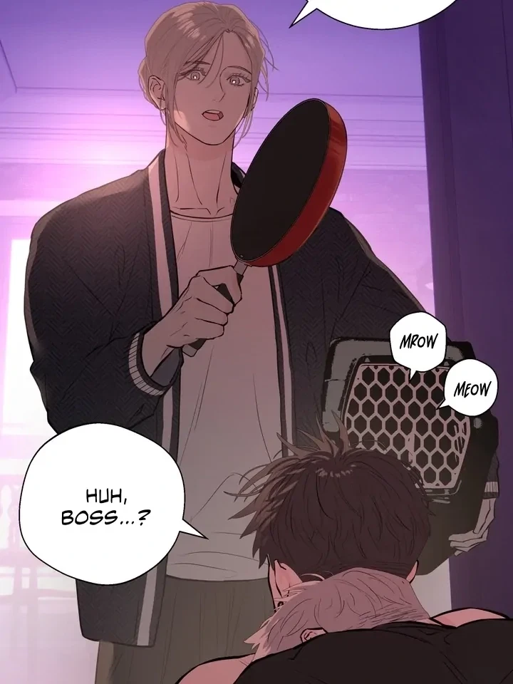Chapter 4, page 91