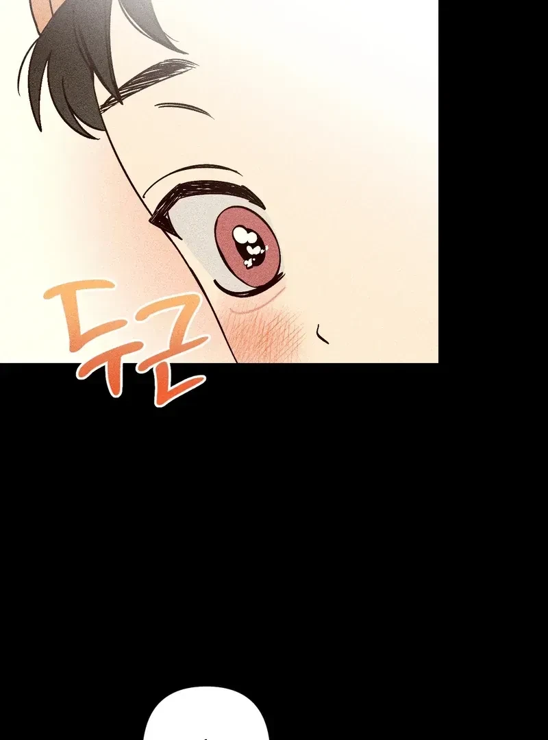 Chapter 1, page 19