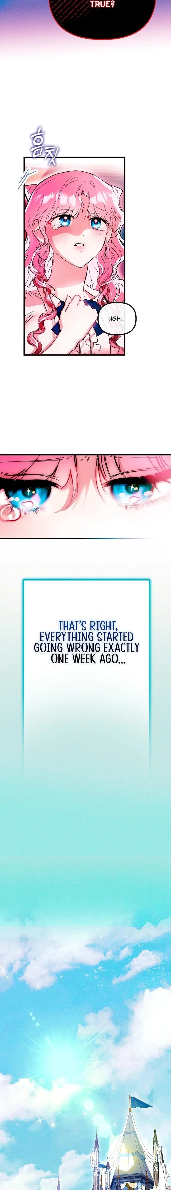 Chapter 1, page 12