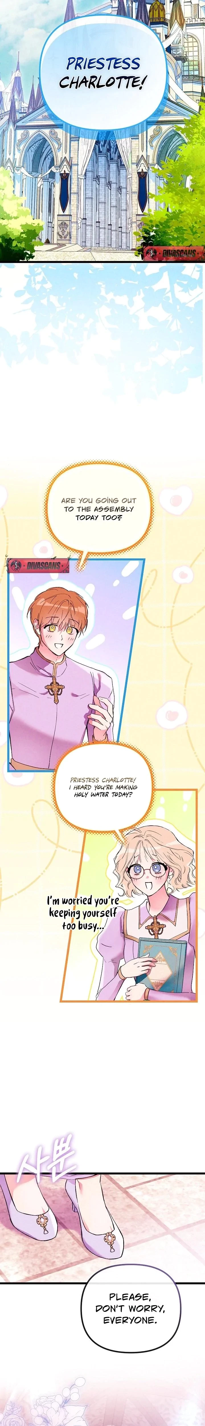 Chapter 1, page 13