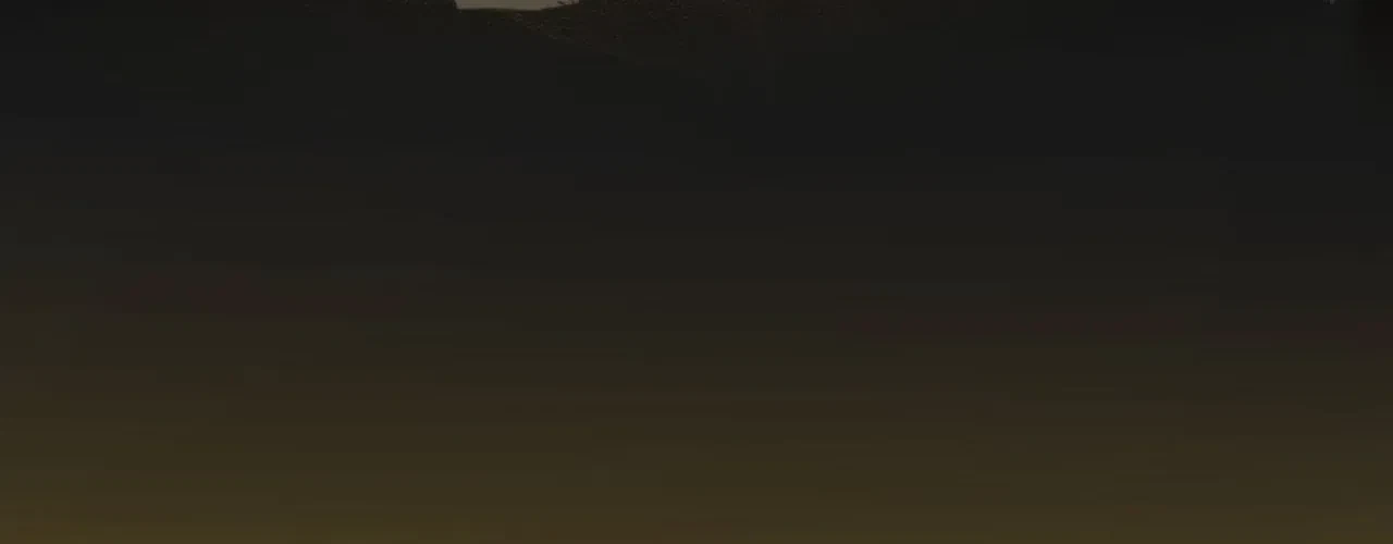 Chapter 29, page 68