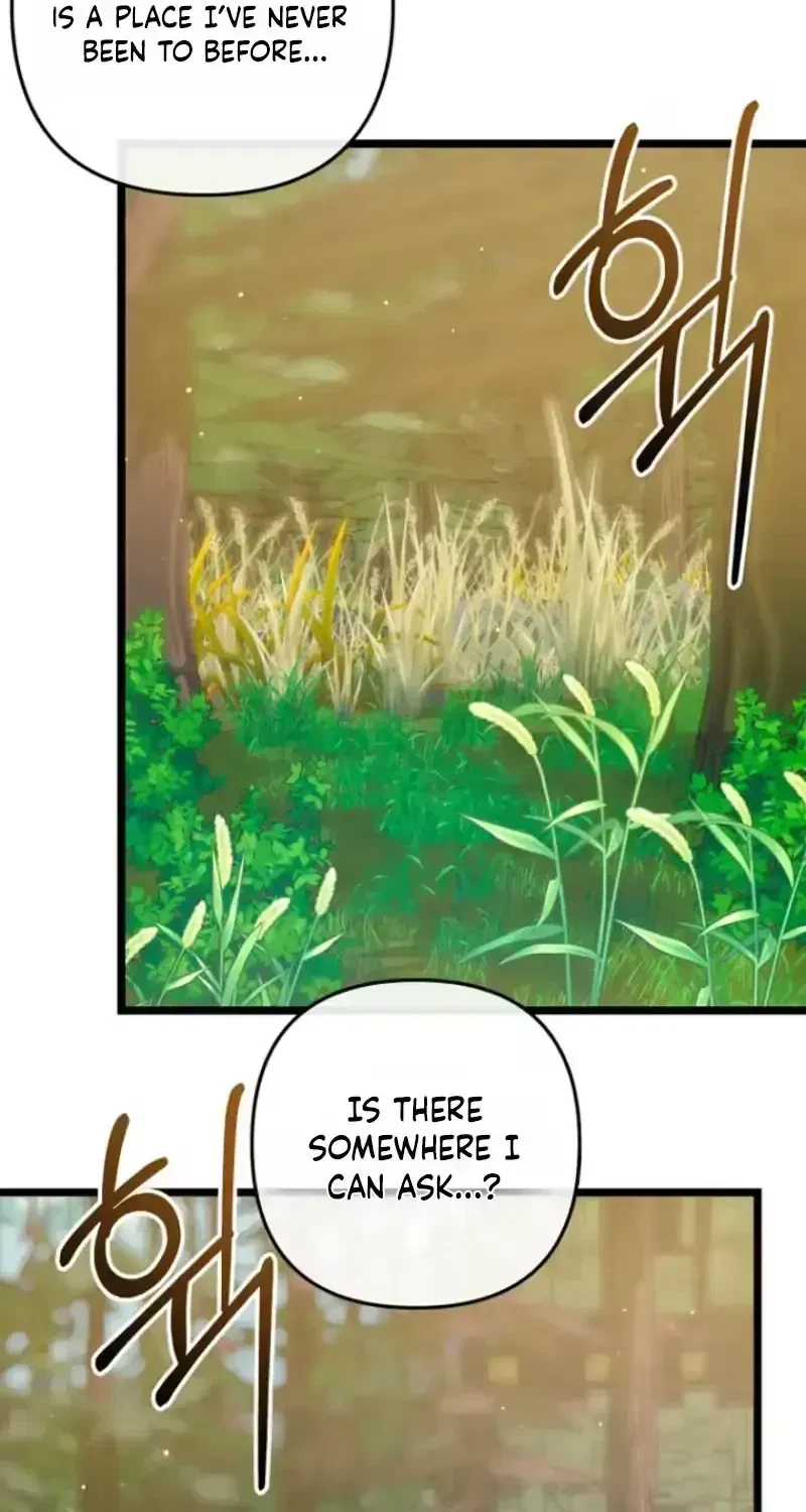Chapter 1.2, page 26