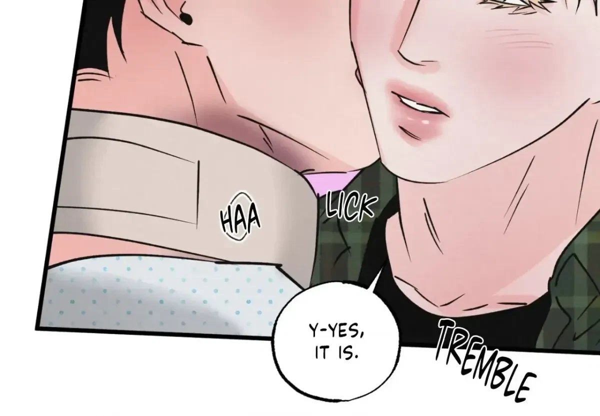 A Golden Pair Chapter 44, page 153
