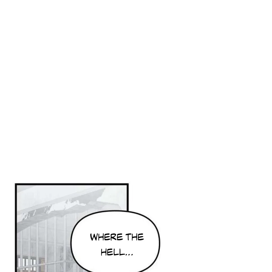 Chapter 3, page 119