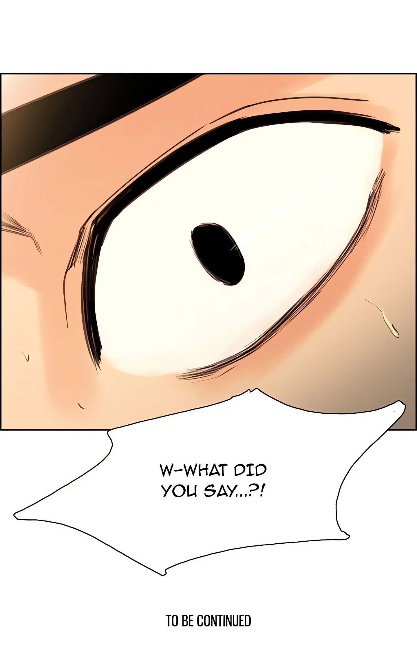 Chapter 1, page 27