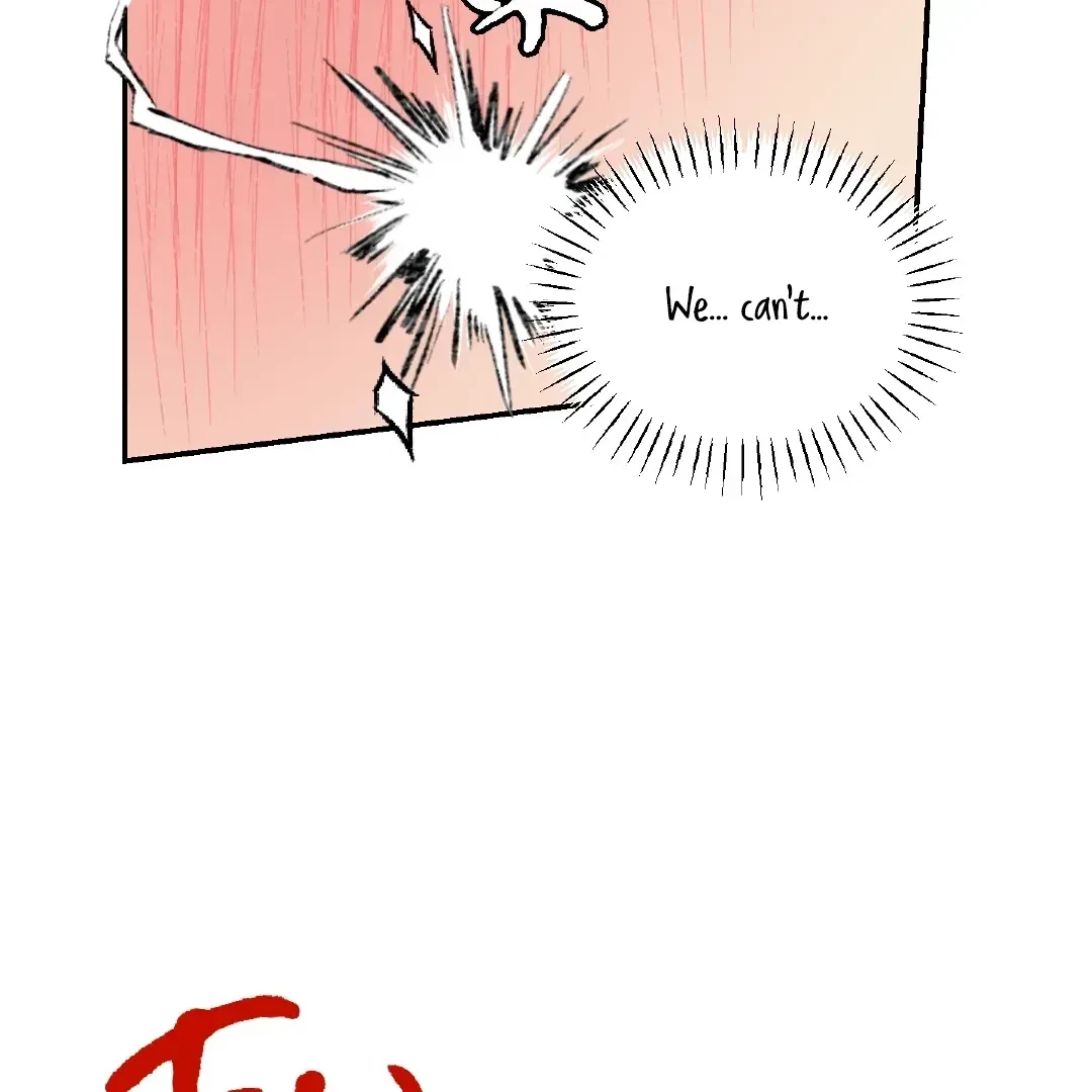 Chapter 3.1, page 107
