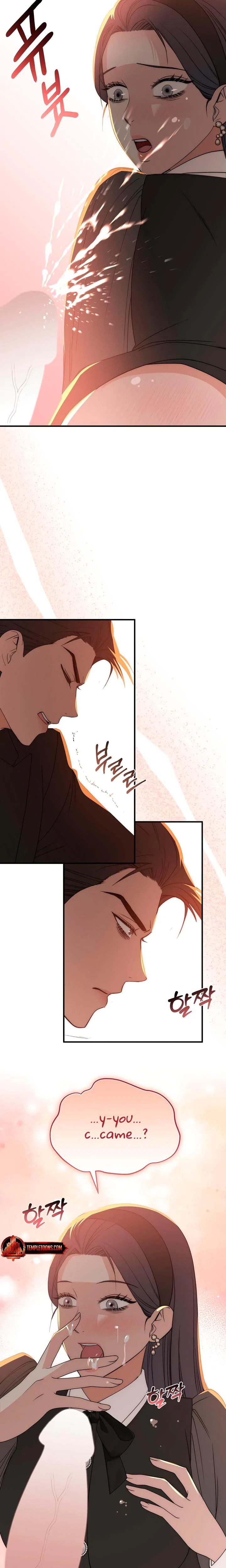 Chapter 27, page 14
