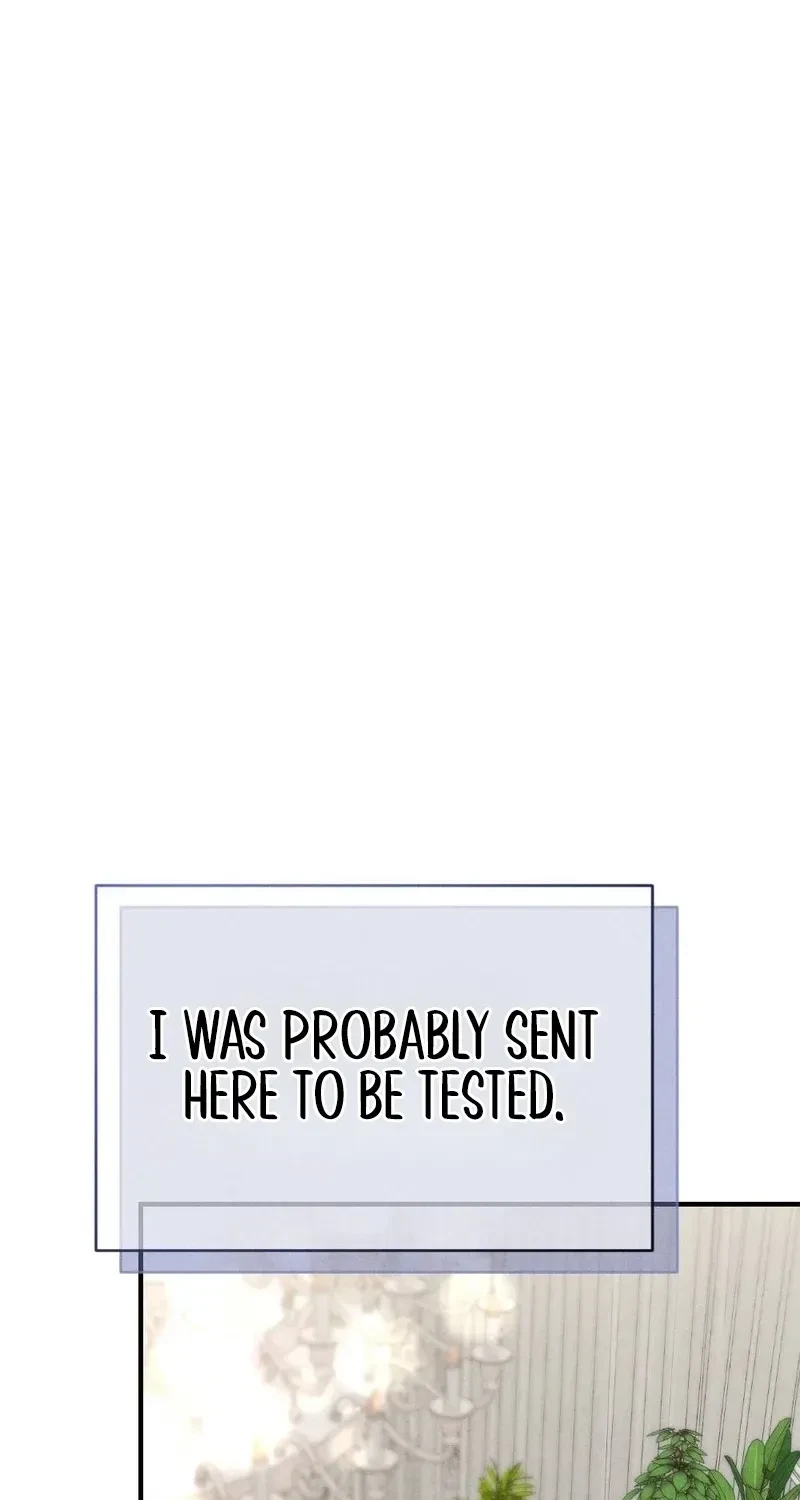 Your Wife Chapter 27, page 86