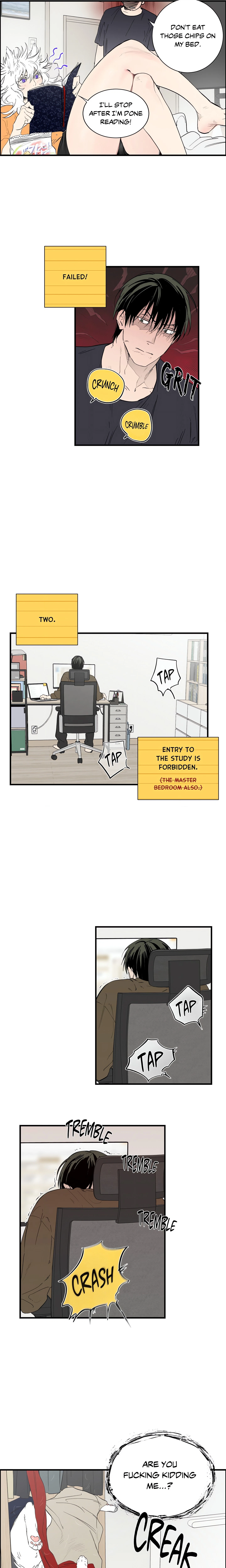 Chapter 3, page 11