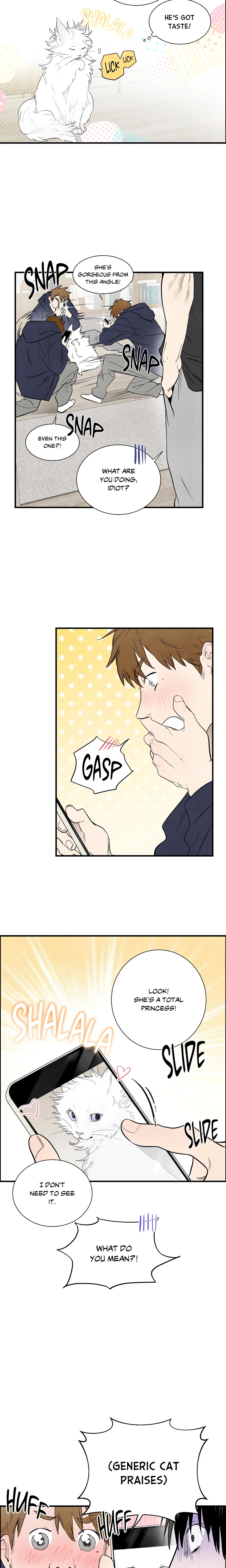 Chapter 3, page 5