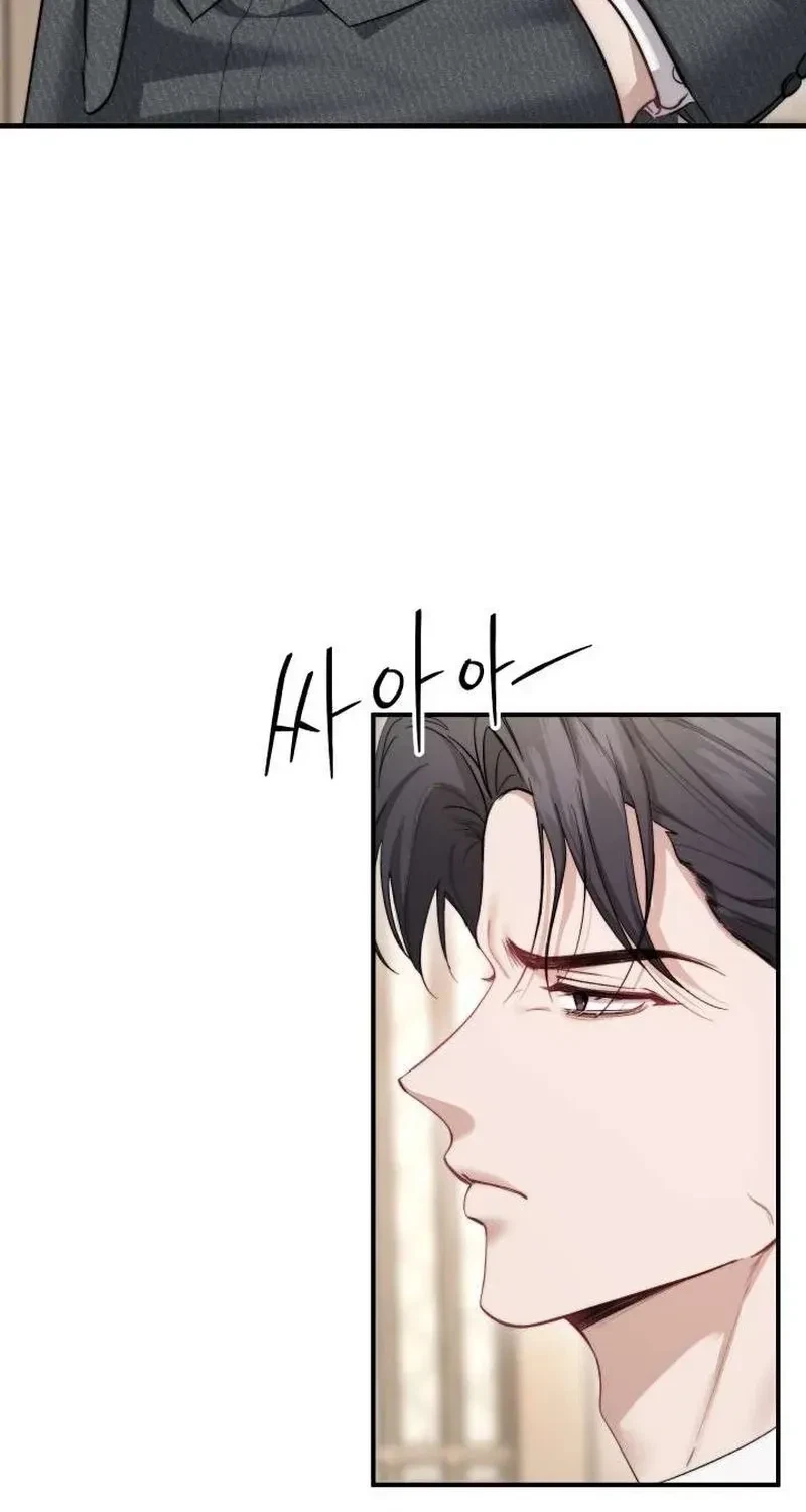 Chapter 2, page 21