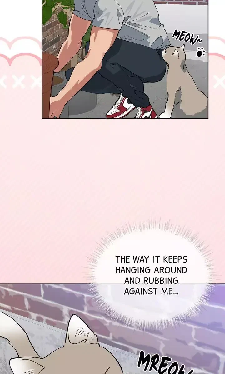 Chapter 52, page 61