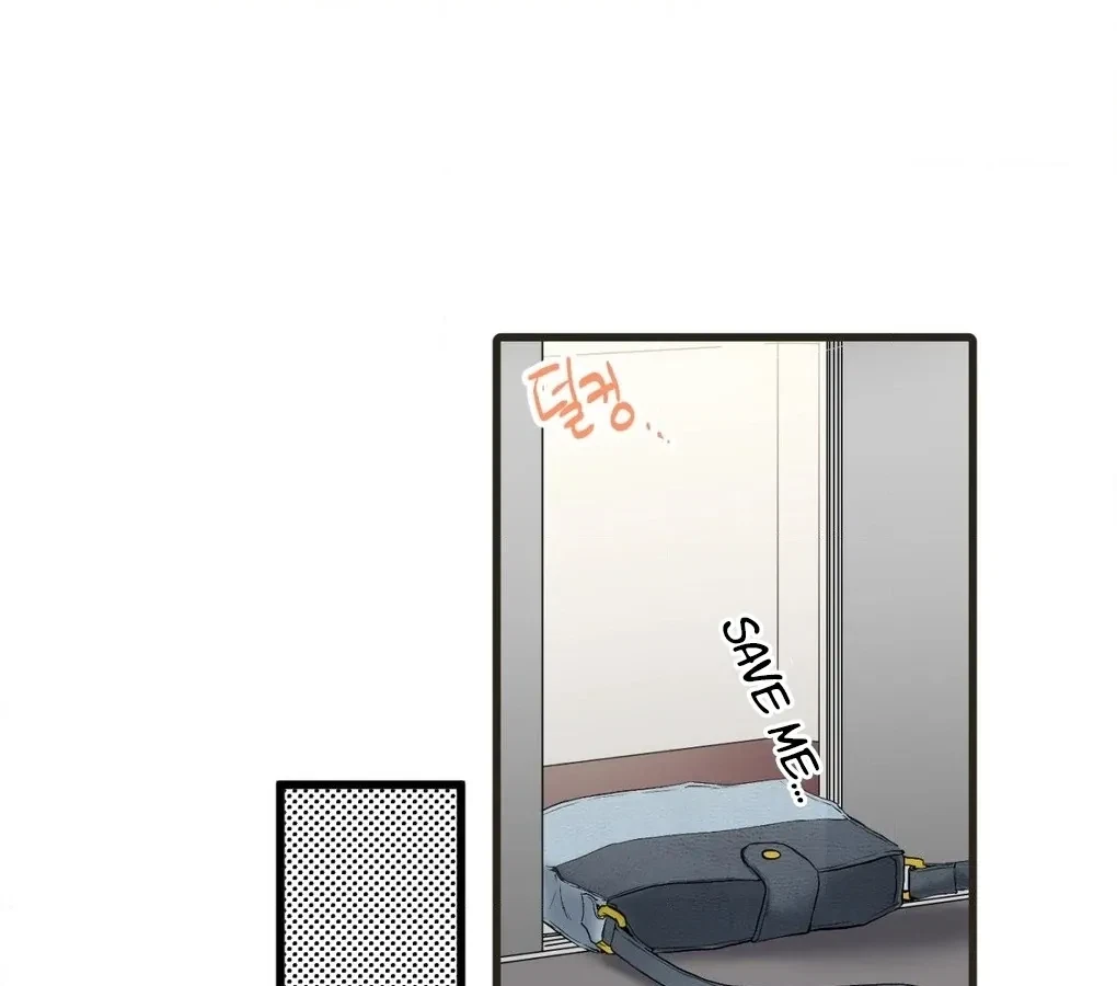 Chapter 4, page 51